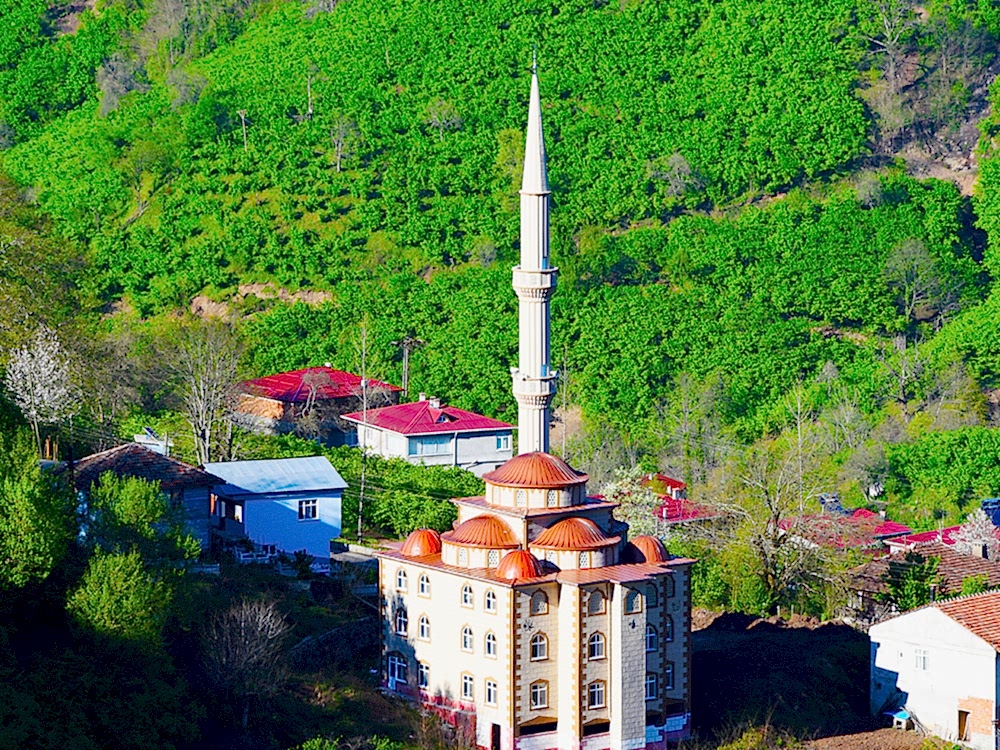 Kızılot Köyü Cami Çatısan