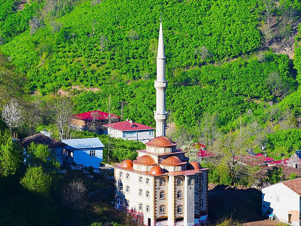 Kızılot Köyü Cami Çatısan