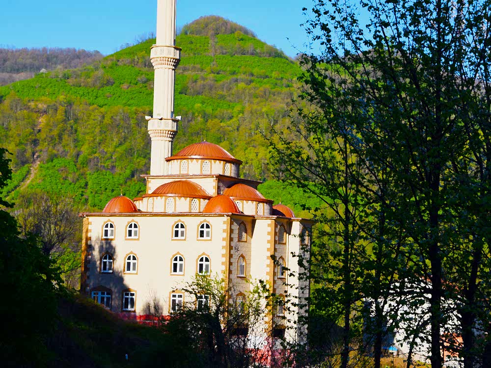 Kızılot Köyü Cami Çatısan